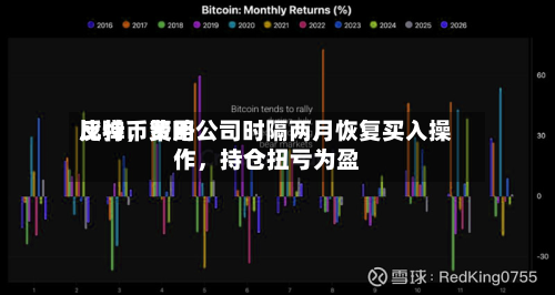比特币费用反弹	，策略公司时隔两月恢复买入操作，持仓扭亏为盈-第2张图片