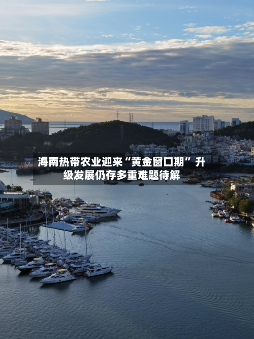 海南热带农业迎来“黄金窗口期” 升级发展仍存多重难题待解-第2张图片