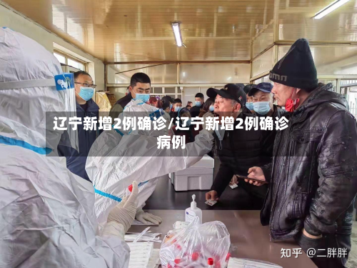 辽宁新增2例确诊/辽宁新增2例确诊病例
