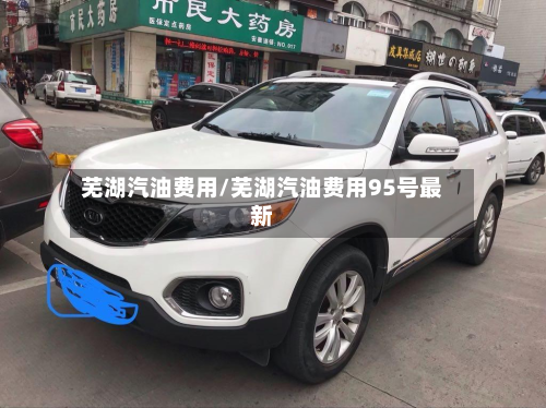 芜湖汽油费用/芜湖汽油费用95号最新