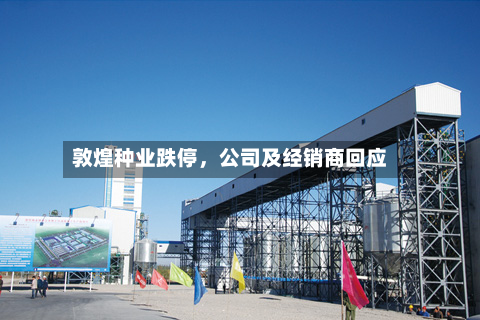 敦煌种业跌停，公司及经销商回应-第2张图片