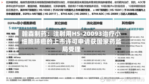翰森制药：注射用HS-20093治疗小细胞肺癌的上市许可申请获国家药监局受理