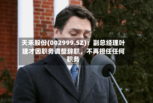天禾股份(002999.SZ)：副总经理叶建才因职务调整辞职，不再担任任何职务