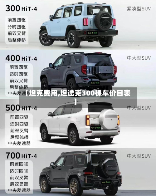 【坦克费用,坦途克300裸车价目表】