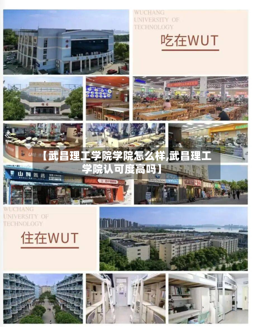 【武昌理工学院学院怎么样,武昌理工学院认可度高吗】-第2张图片