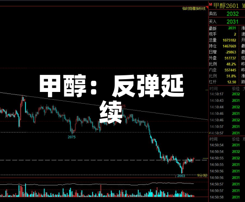 甲醇：反弹延续-第1张图片