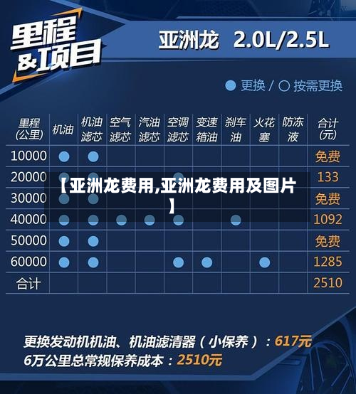 【亚洲龙费用,亚洲龙费用及图片】-第2张图片