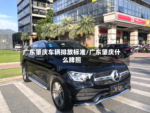 广东肇庆车辆排放标准/广东肇庆什么牌照