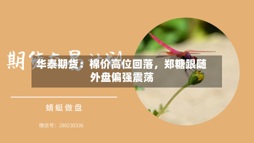 华泰期货：棉价高位回落，郑糖跟随外盘偏强震荡-第2张图片