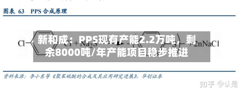 新和成：PPS现有产能2.2万吨，剩余8000吨/年产能项目稳步推进-第2张图片