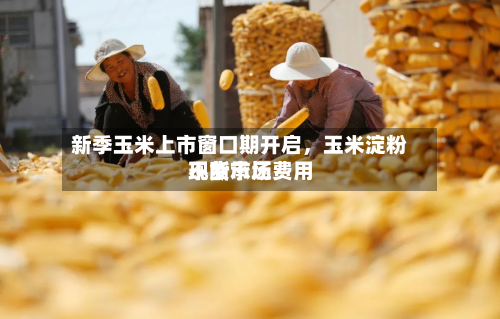 新季玉米上市窗口期开启，玉米淀粉现货市场费用不断承压-第1张图片