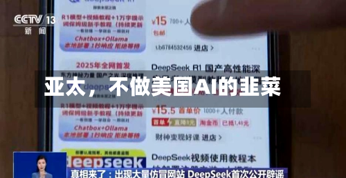 亚太，不做美国AI的韭菜-第2张图片