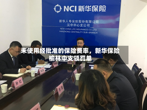 未使用经批准的保险费率，新华保险榆林中支领罚单