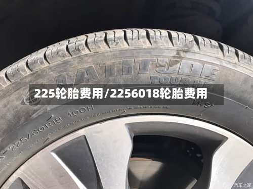 225轮胎费用/2256018轮胎费用
