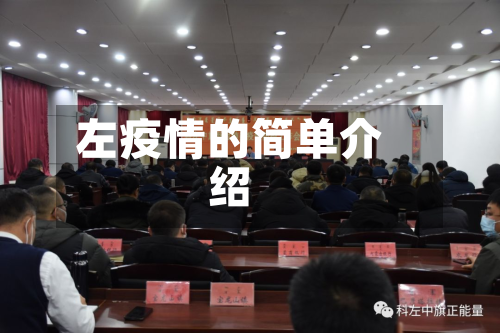左疫情的简单介绍-第3张图片