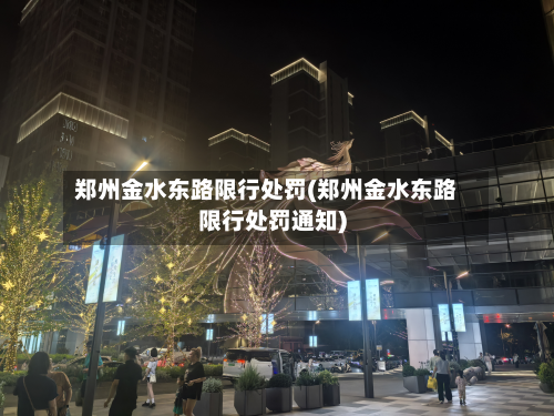 郑州金水东路限行处罚(郑州金水东路限行处罚通知)-第2张图片