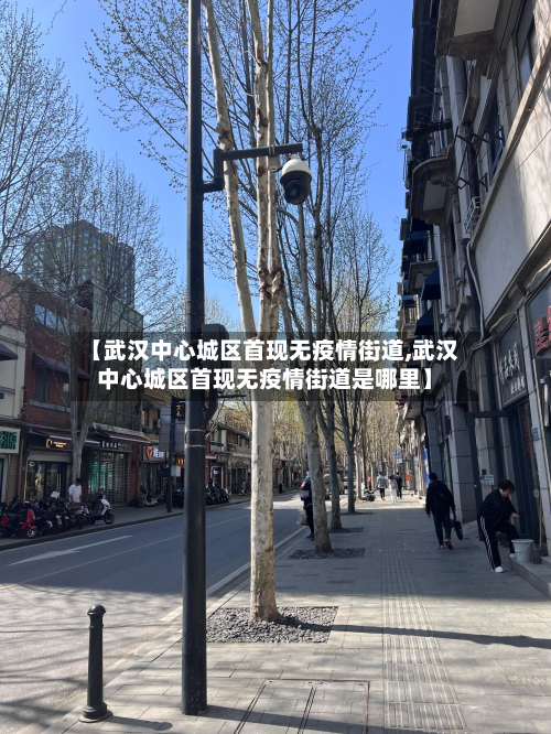 【武汉中心城区首现无疫情街道,武汉中心城区首现无疫情街道是哪里】