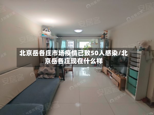 北京岳各庄市场疫情已致50人感染/北京岳各庄现在什么样