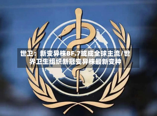 世卫：新变异株BF.7或成全球主流/世界卫生组织新冠变异株最新变种-第2张图片