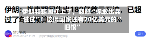 伊朗和韩国杠上了，怒怼“你敢出兵试试”！这俩国家还有70亿美元的“旧恨”-第2张图片