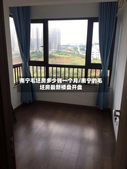 南宁毛坯房多少钱一个月/南宁的毛坯房最新楼盘开盘-第2张图片