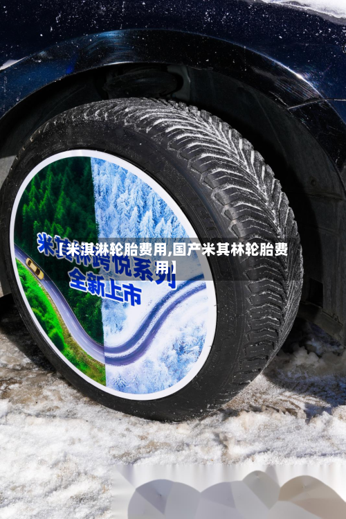 【米淇淋轮胎费用,国产米其林轮胎费用】-第2张图片
