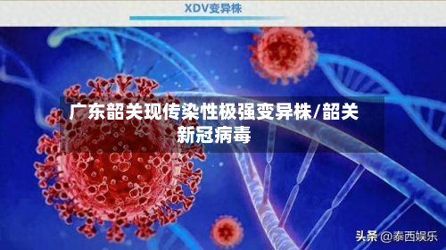 广东韶关现传染性极强变异株/韶关新冠病毒-第3张图片