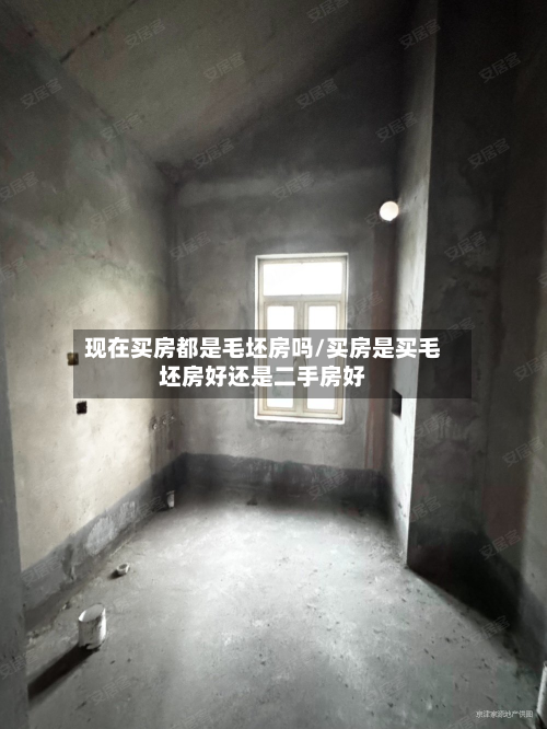 现在买房都是毛坯房吗/买房是买毛坯房好还是二手房好