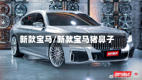新款宝马/新款宝马猪鼻子-第3张图片