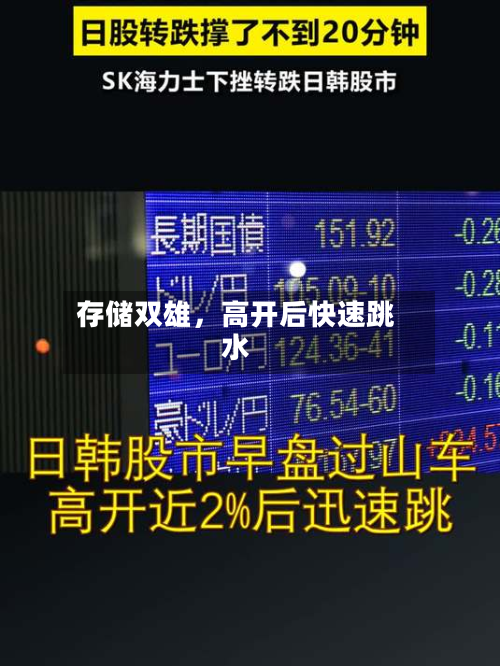 存储双雄	，高开后快速跳水-第2张图片