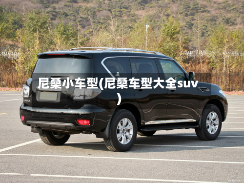 尼桑小车型(尼桑车型大全suv)