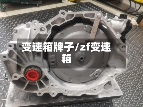 变速箱牌子/zf变速箱