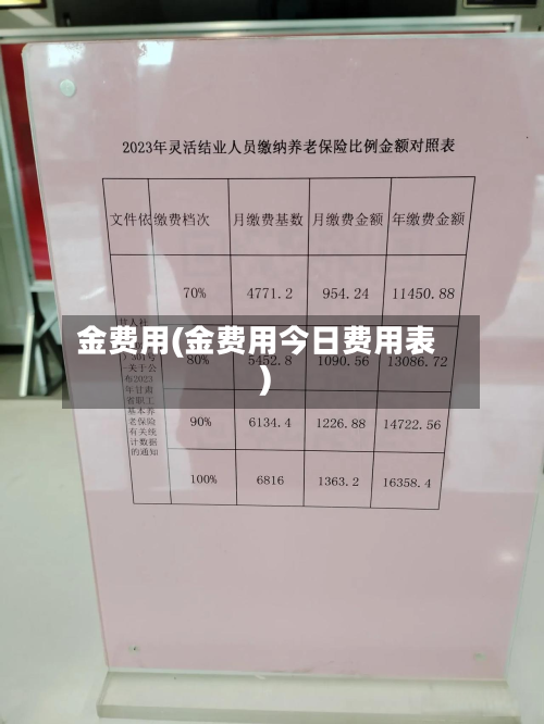 金费用(金费用今日费用表)-第3张图片