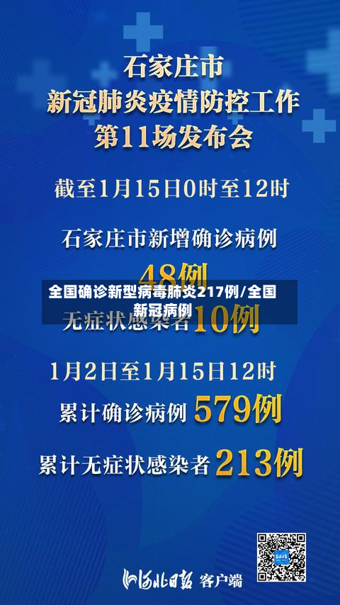全国确诊新型病毒肺炎217例/全国新冠病例-第3张图片