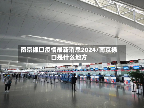 南京禄口疫情最新消息2024/南京禄口是什么地方