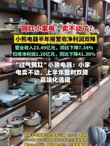 “过气网红	”小熊电器：小家电卖不动	，上半年营利双降，高端化遇阻-第2张图片
