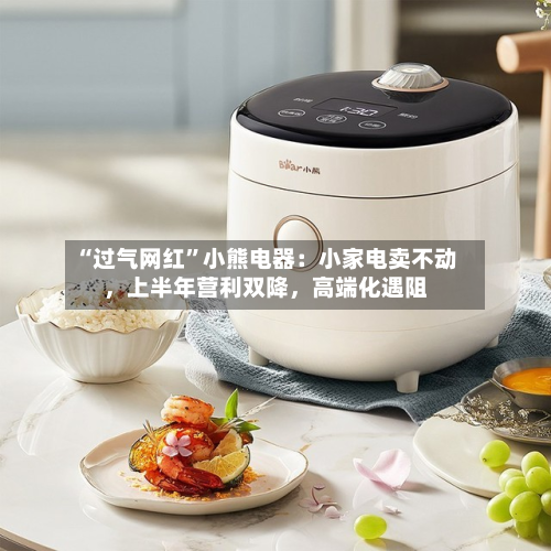 “过气网红”小熊电器：小家电卖不动，上半年营利双降，高端化遇阻-第3张图片