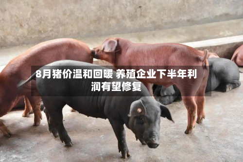 8月猪价温和回暖 养殖企业下半年利润有望修复