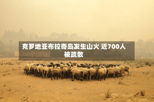 克罗地亚布拉奇岛发生山火 近700人被疏散-第2张图片