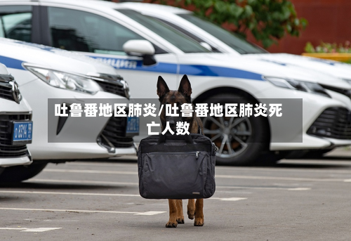 吐鲁番地区肺炎/吐鲁番地区肺炎死亡人数