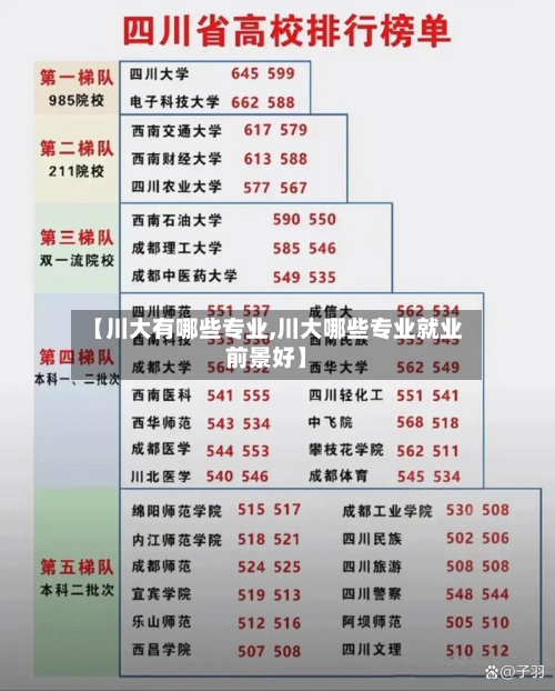 【川大有哪些专业,川大哪些专业就业前景好】-第2张图片