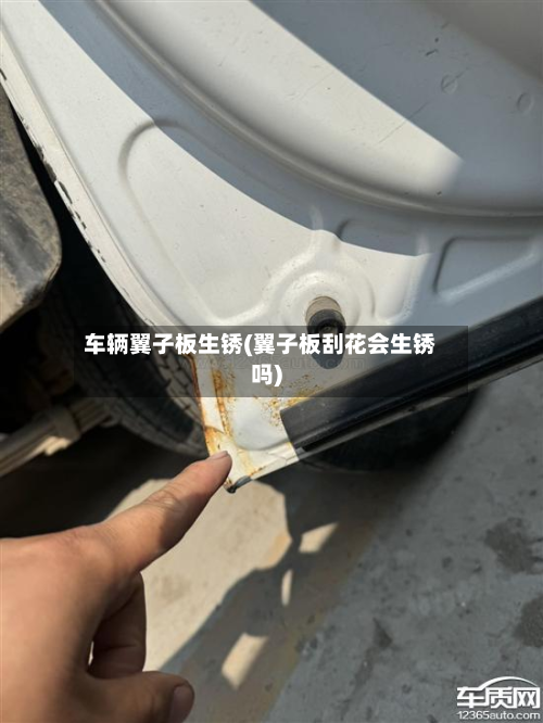 车辆翼子板生锈(翼子板刮花会生锈吗)