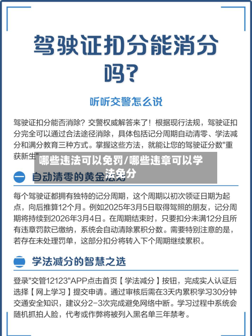 哪些违法可以免罚/哪些违章可以学法免分-第2张图片