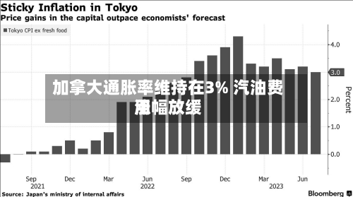加拿大通胀率维持在3% 汽油费用涨幅放缓-第3张图片