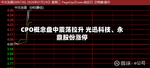 CPO概念盘中震荡拉升 光迅科技、永鼎股份涨停-第2张图片