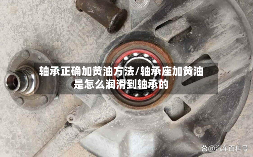 轴承正确加黄油方法/轴承座加黄油是怎么润滑到轴承的