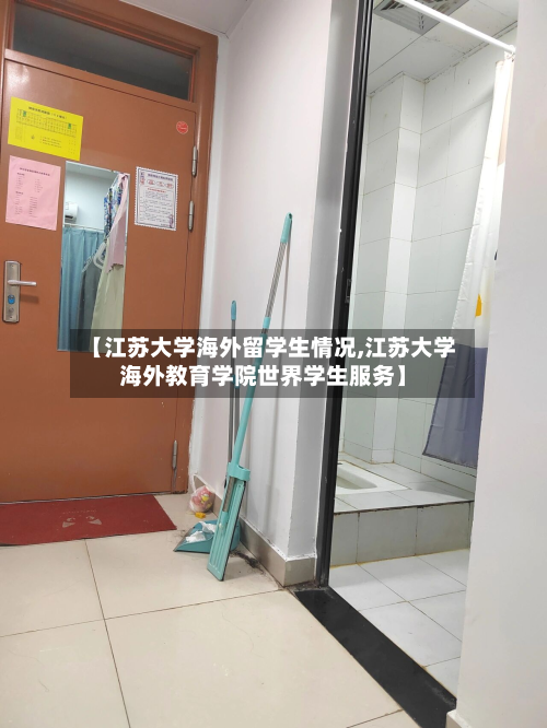 【江苏大学海外留学生情况,江苏大学海外教育学院世界学生服务】