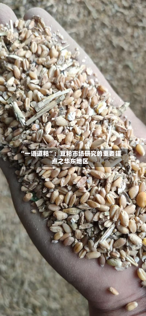 “一语道粕”：豆粕市场研究的重要锚点之华东地区-第2张图片