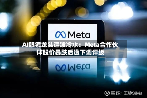 AI眼镜龙头遭泼冷水：Meta合作伙伴股价暴跌后遭下调评级