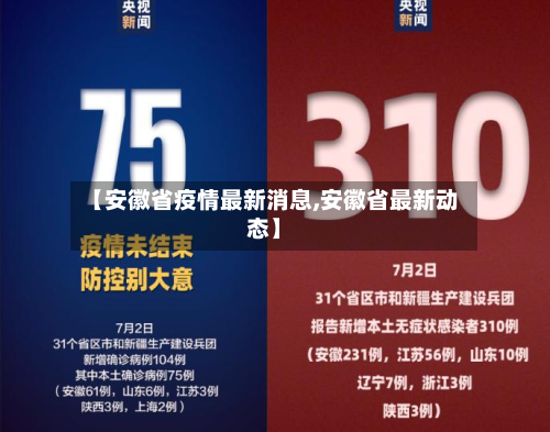 【安徽省疫情最新消息,安徽省最新动态】-第3张图片